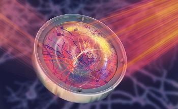 Deep In Vivo Brain Imaging Made Possible with Advancement in Microscopy