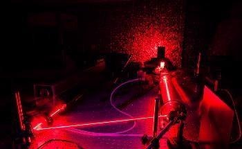 New Insights on Ultrafast Dynamics of Coupled Phonons in Hexagonal Boron Nitride
