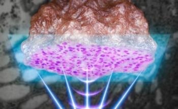 New Machine Learning-Based Label-Free Histopathology Device for Clinical Specimens