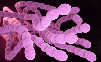 New Microscope Uses Photonics to Gain Insights into ‘Superbugs’
