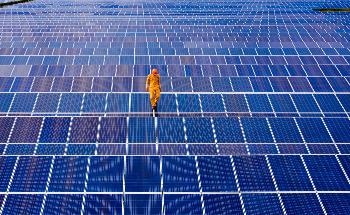 Study may Help Optimize the Performance of All-Polymer Blend Solar Cells