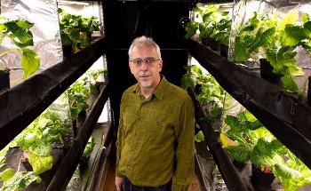 Digital Lighting System for Greenhouses Could Cut Electricity Costs