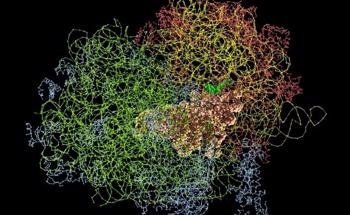 New Imaging Method to Treat Cancers and Viral Infections