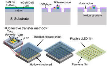 New MicroLED Array Film to Cover the Brain and Illuminate its Specific Regions