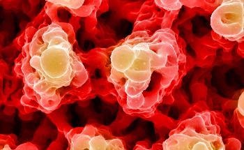 Experts to Convene for 2022's Biophotonics Congress: Biomedical Optics in a Hybrid Format