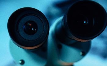 New Endoscope Combines Ultrasound with OCT to Assess Structural Features of the Endometrium