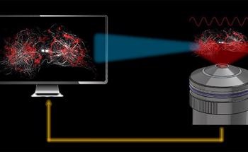 Novel Algorithm Delivers Superresolution Images Faster than the Current Standard Imaging Method