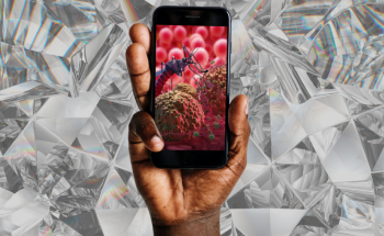 Scientists Develop Nanotech Imaging Tool to Diagnose Diseases Using Smartphone