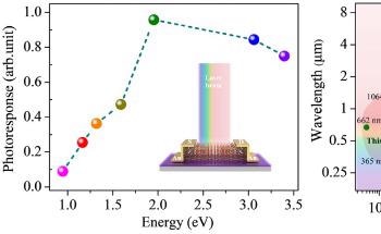 Scientists Develop 2D-Based Photodetector with High-Speed Photoresponse and Broadband Detection Proficiency