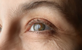 Researchers Improve Image Resolution of Retinal OCTA with Deep-Learning