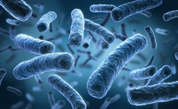 Seeing Biological Samples Clearly with a Four-Camera Structured Illumination Microscope