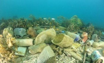 Spectrometry Reveals Extent of Microbial Growth in Lakes Caused by Plastic
