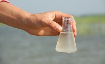 Using Optical Emission Spectroscopy to Analyze Underwater Discharges From Electrical Pulses