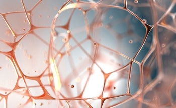Improving Optical Coherence Tomography Quality with Image Assessments