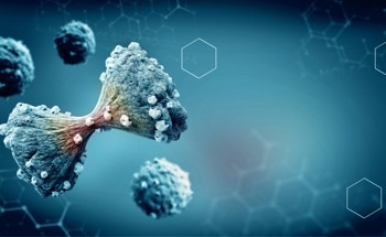 Researchers Find Potential in Amide Proton Transfer Imaging for Bladder Cancer Detection