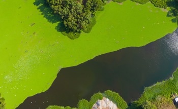 High-Resolution Satellites Detect Harmful Algae in Inland Waterbodies
