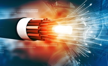 Using a Distributed Fiber Optic Hydrophone to Detect Underwater Acoustic Signals