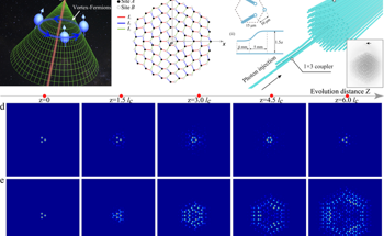 The Application of Bound Vortex Light on Optical Chips