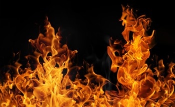 How Coherent Oscillations Affect the Development of Turbulent Flame Brush