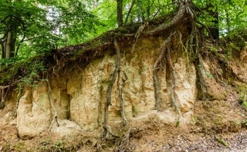 Study Improves Soil Erosion Management