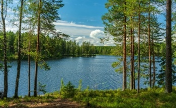 Satellites and In-Situ Data Useful for Assessing Bio-Optical State of Water