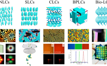 Linking LC Architectures for Soft Mattonics