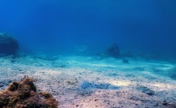 Satellite Remote Sensing Sheds Light on Ocean Ecology