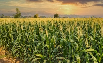 Study Improves Agricultural Robotics with 2D Lidar Technology