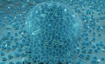 Study Uses Crystal Violet Staining and Optical Reflection for Quantitative Analyses of Biofilms
