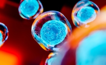 Researchers Propose Lacunarity Method for Subcellular Microscopic Analysis