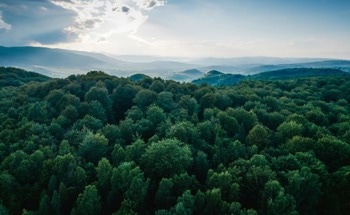 Angle-Cam: A Deep Learning-Based Technique for Predicting Leaf Angle Distributions