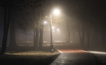 Artificial Light Color Helps Researchers Understand Light Pollution