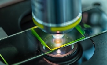 Light Microscopy Sheds Light on Abundance of Toxic Microalgal Species in the Black Sea