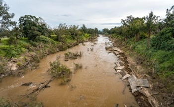 Optical and Radar Sensing Reveals Australian Flooding Impacts