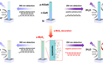 Polarity-Switchable Photoconductivity in Semiconductor Nanowires