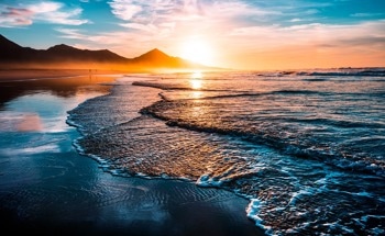 Spectrophotometric pH Analyzer Developed for Ocean Acidification Research