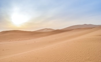 Airborne and Ground Measurements for Carbon Dioxide Detection in Deserts