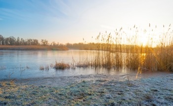 Tackling the Challenges of Ice Phenology in Optical Satellite Data
