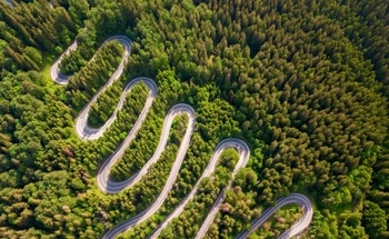 LiDAR Surface Damage Detection for Forest Roads