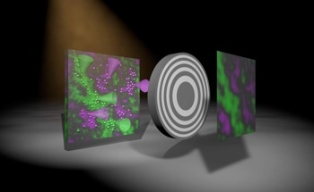 A Novel Technique to Produce X-Ray Images in Color