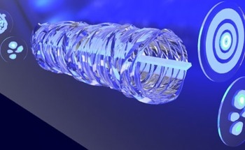 Exploring Distortion-Free Forms of Light in Complex Systems