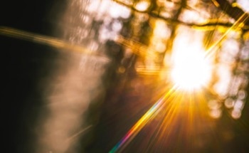 Fabricating Nanophotonic Media with Exceptional Chiro-Optical Properties