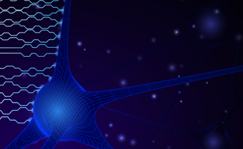 Analyzing the Process of Neural Networks on Photonic Chips