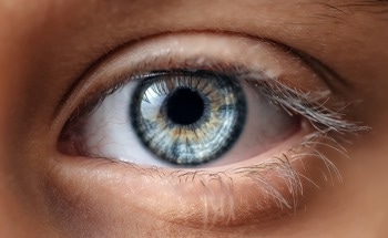 New Approach to Visualizing the Optical Performance of the Human Eye