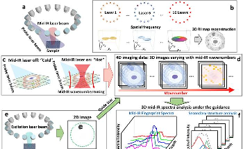 FBS-IDT Reveals the Protein Secondary Structure of the Intracellular Tau Fibrils