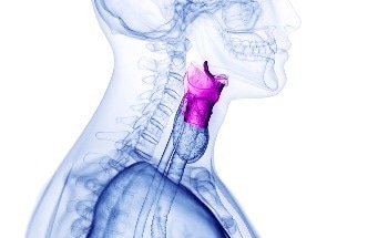Brillouin Microspectroscopy Offers New Way to View Vocal Cords