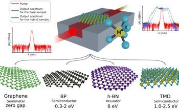 Hybrid Integration of 2D Materials for On-Chip Nonlinear Photonics