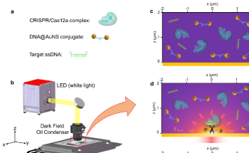 Heat-Powered Nanotweezers Detect Disease at Unprecedented Levels