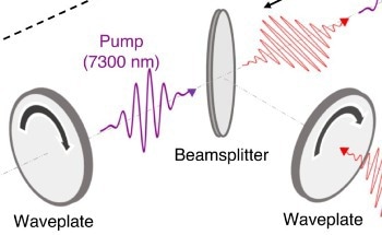 Nonlinearities in Hexagonal Boron Nitride Amplified by Phonons