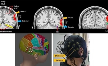 fNIRS Sheds Light on Brain Activity